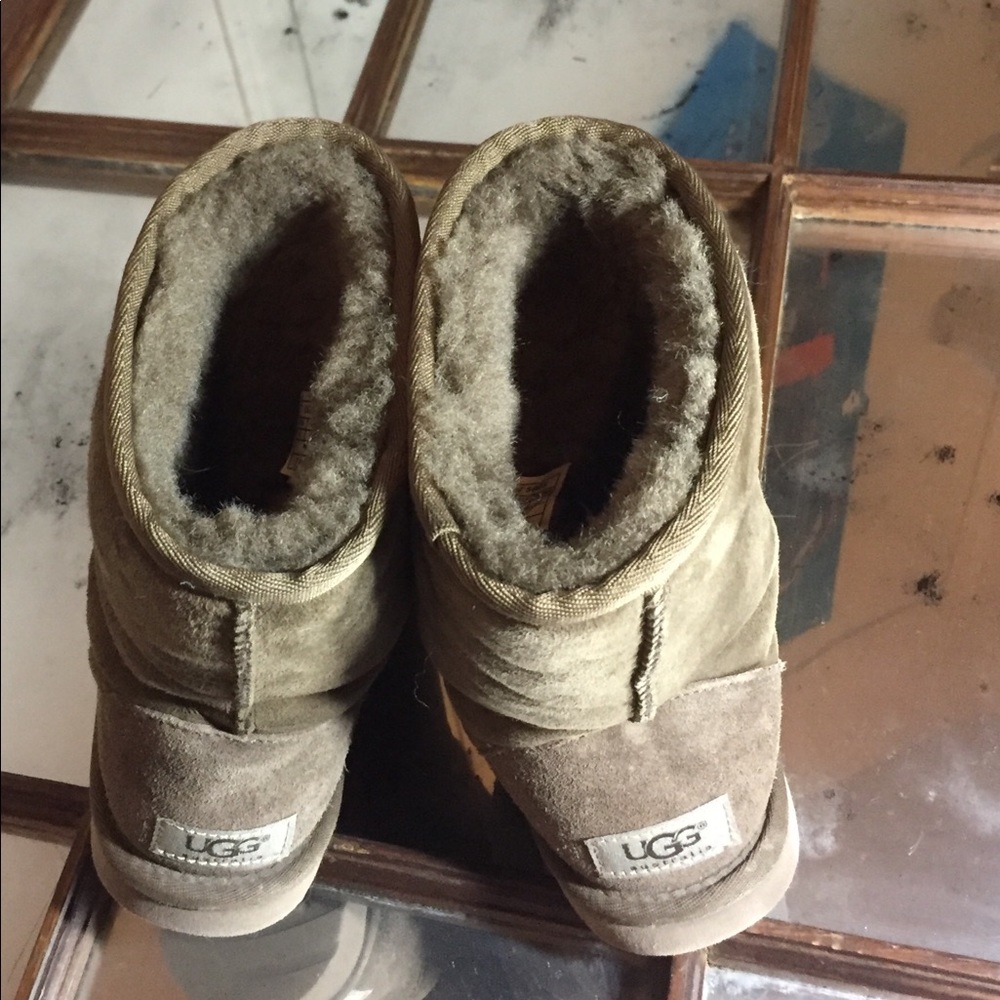 Uggs (Spruce)
